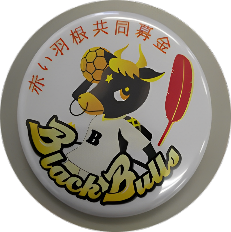 女子ハンドボールチーム 飛騨高山ブラックブルズ岐阜 缶バッジ