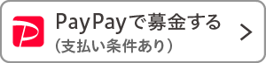 PayPay